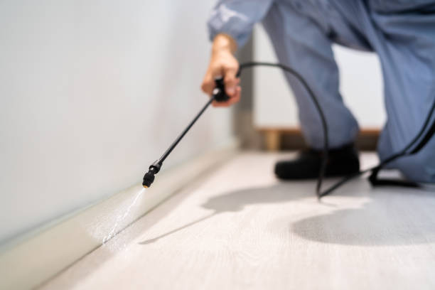 Licensed Rodent Control service in Shenandoah Farms, VA - Nex Pest Control