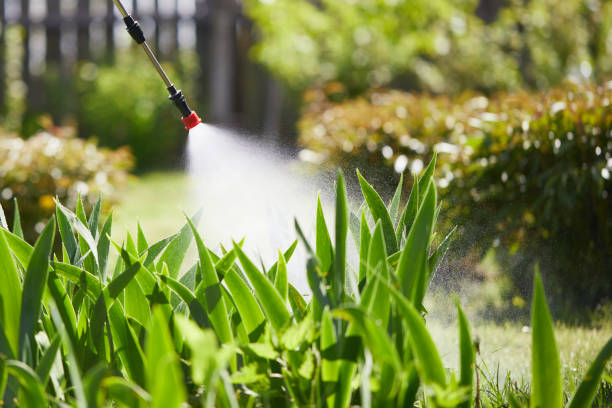 24/7 Emergency Rodent Control experts in Shenandoah Farms, VA
