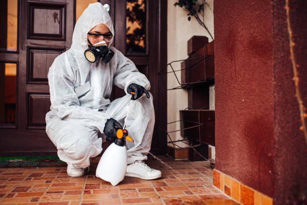 Reliable Rodent Control contractor in Shenandoah Farms, VA by Nex Pest Control
