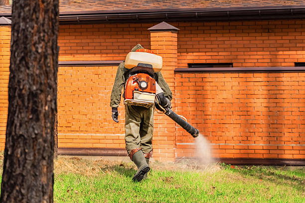 Trusted Cockroach Control service in Shenandoah Farms, VA - Nex Pest Control